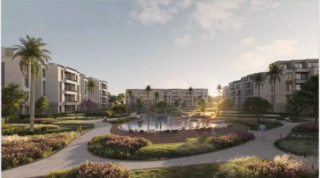 Solana New Zayed2