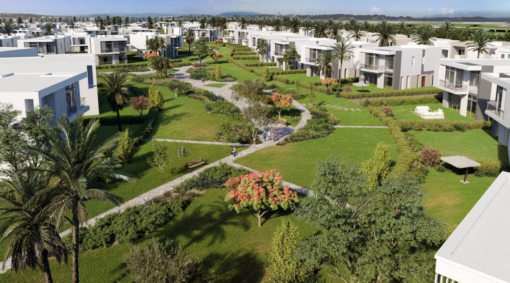 ZED East Hero scaled 1