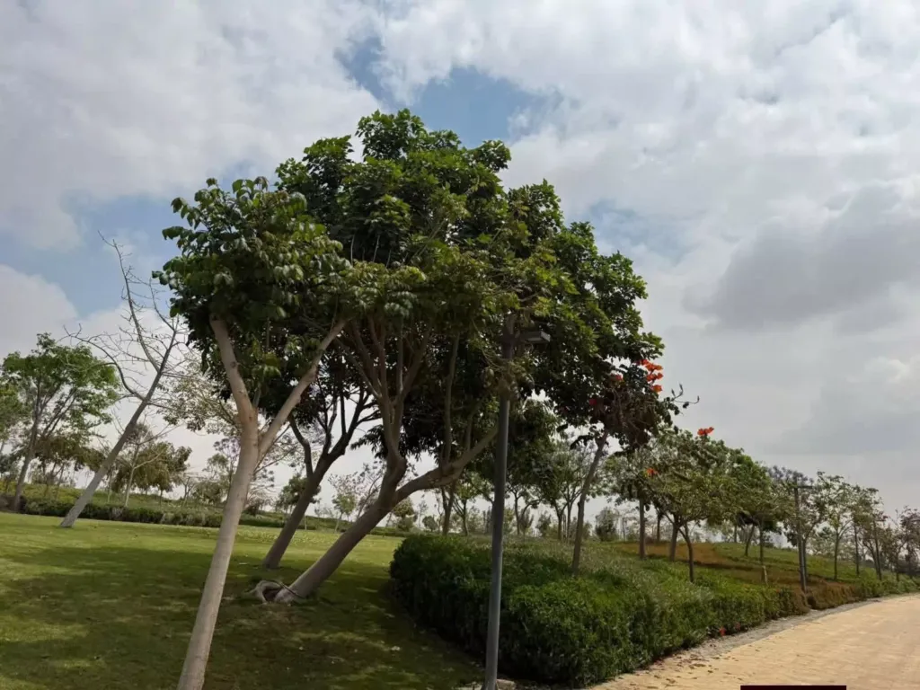 النهر الأخضر5