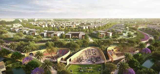 solana new zayed