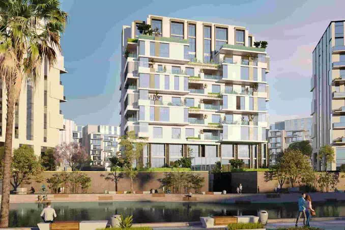 Compound 205 Zayed